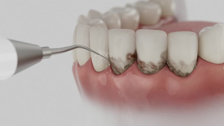 Reliable Dental contractor in Wrightsville, PA by Dentist Open Now